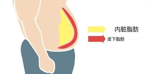 码：最科学的体测方法与身体成分解析”CQ9电子平台入口“精准掌握身体密(图5)
